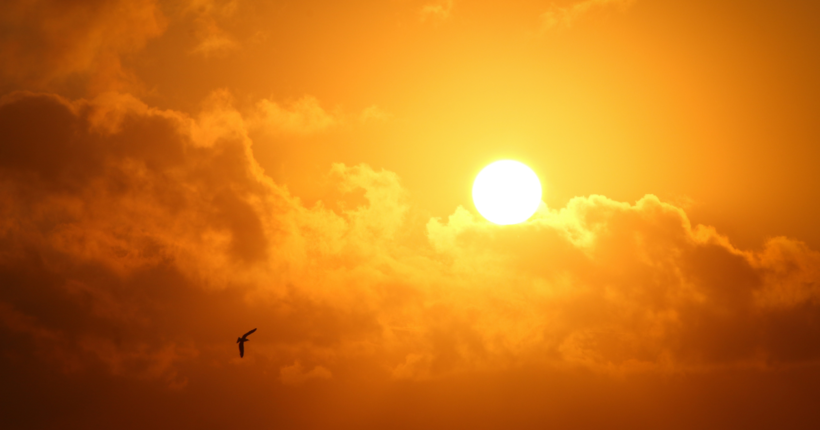 На Україну насувається 40-градусна спека: прогноз погоди на 15 липня