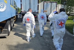 Останній етап репатріації: в Україну повернули ще 1245 тіл