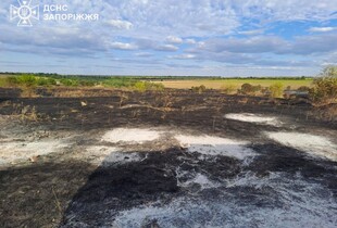 Надзвичайники ліквідували 22 пожежі в Запорізькій області: загинула людина