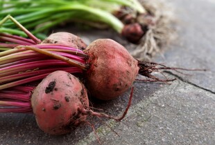 Як заквасити червоний буряк і які смачні страви з нього готувати