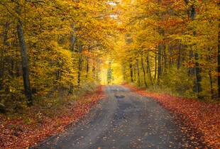 Синоптикиня розповіла, якою буде погода в останній день жовтня: прогноз погоди