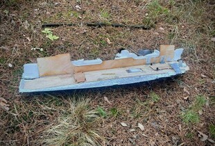 Збирали гриби і підірвались на частині БпЛА: на Чернігівщині підлітки отримали поранення