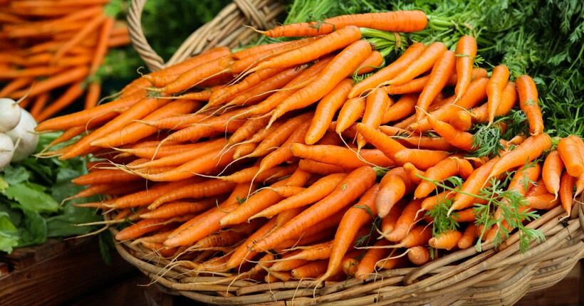 Морква в мішках: головні правила зберігання, щоб нічого не згнило