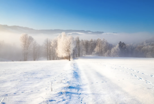 Ожеледиця, сніг та дощ: які метеорологічні явища очікуються в Україні 15 грудня