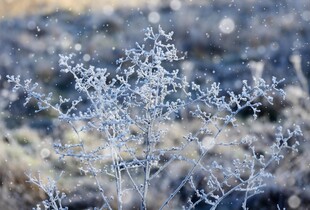 Морози в Україні триватимуть: прогноз погоди на 15 січня