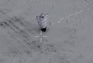 Втрати ворога на 19 лютого 2026 року: ЗСУ знищили ще 830 окупантів і понад 20 артсистем