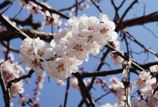 Діденко розповіла, якою буде погода на Великдень і коли потепліє в Україні