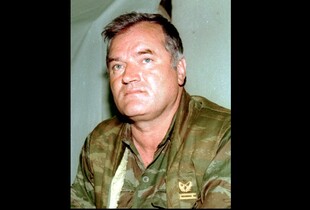 В Гаазі помер 