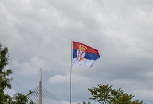 Парламентські вибори в Сербії: Вучич визнав перемогу 