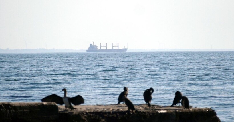 У ВМС повідомили, скільки кораблів рф тримає в Чорному та Азовському морях